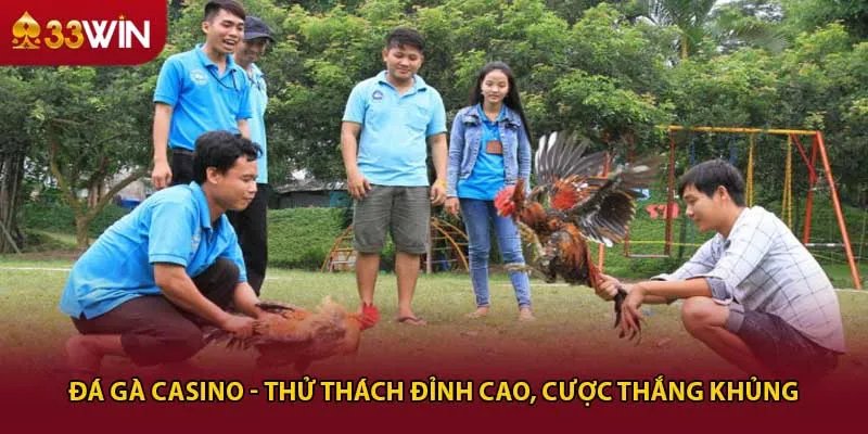 Đá Gà Casino - Thử Thách Đỉnh Cao, Cược Thắng Khủng